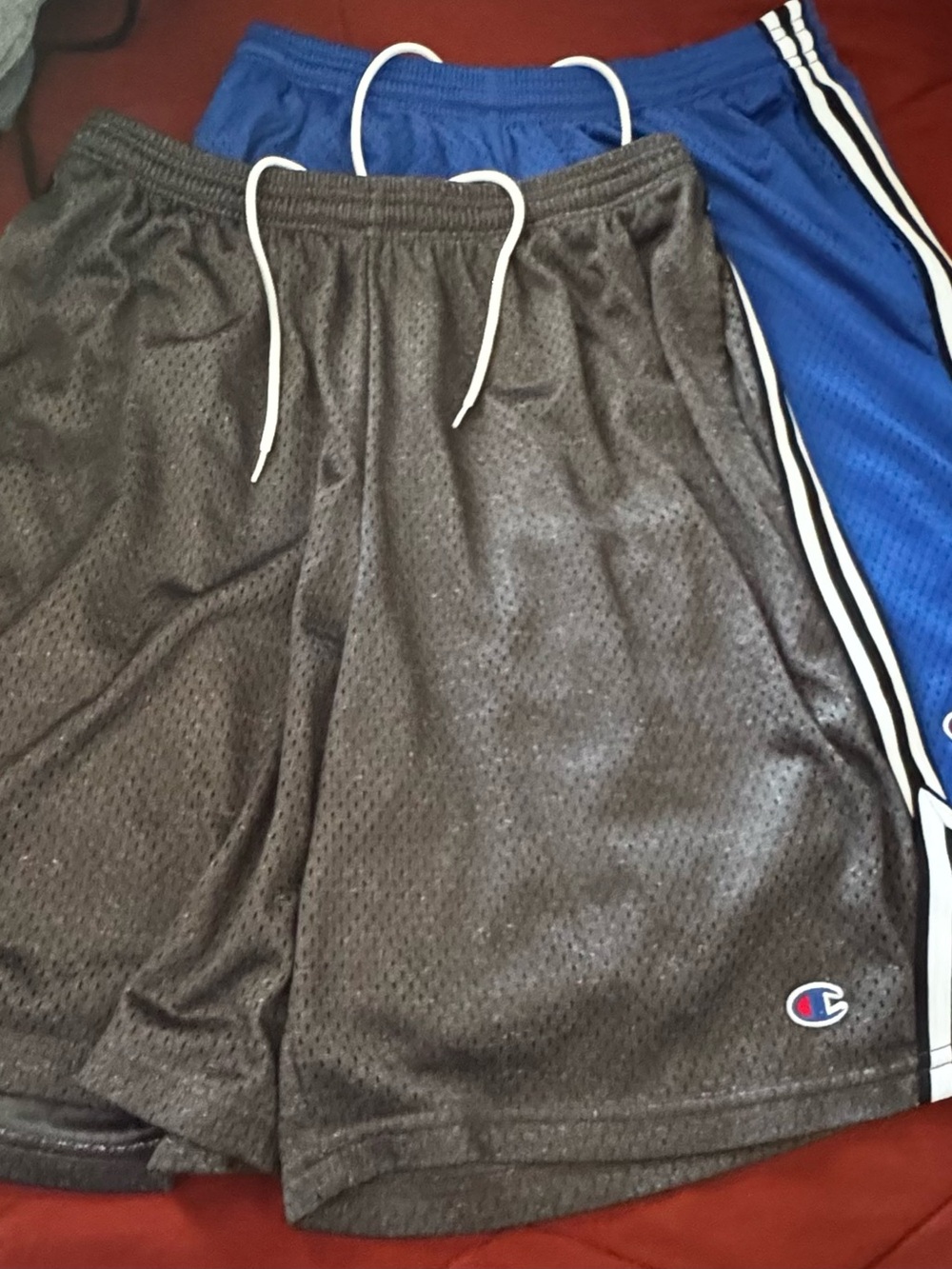 Champion Mesh Shorts (pair of 2)